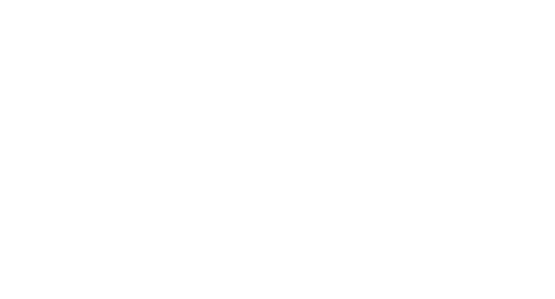 UFPEL